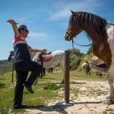 Day Tour <span>€80<span>/per adult</span></span>