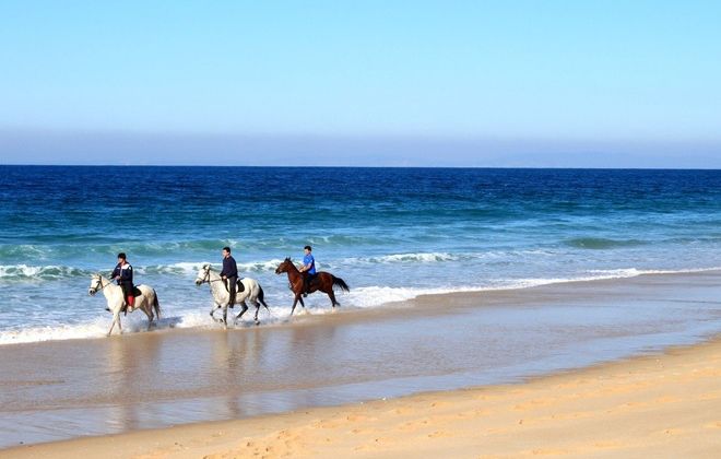 Riding on the beach <span>€95<span>/per person</span></span>