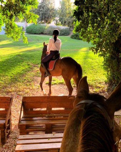 104001795_3084919454929369_6164314332212531803_n.v2