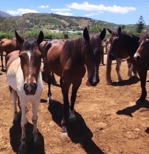 83139463_3090434424377872_2880557144387917313_o.v2