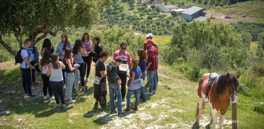 Romantic Moonlight Tour <span>€80<span>/per adult</span></span>