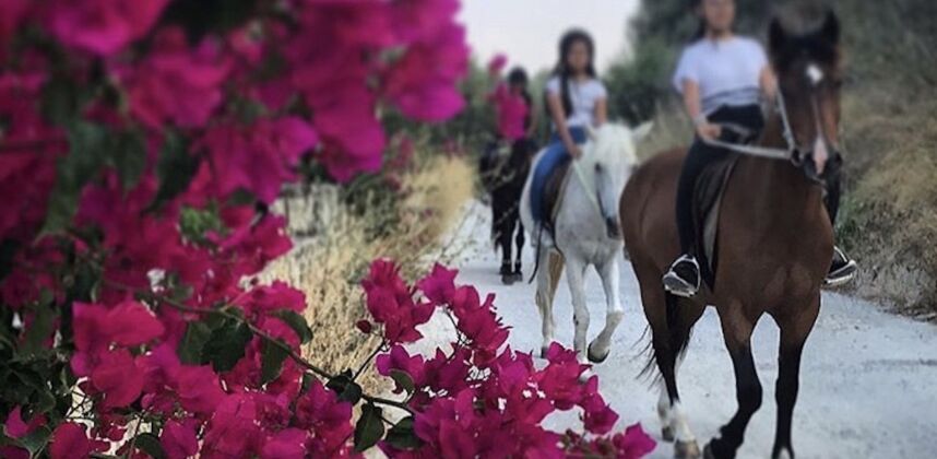 2h Horse Riding Adventure <span>€60<span>/per person</span></span>