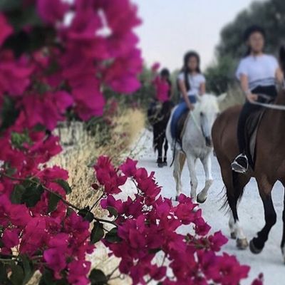 2h Horse Riding Adventure <span>€60<span>/per person</span></span>