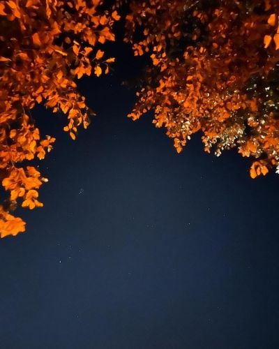 Summer night sky in Finikia