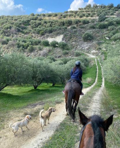 342366424_1232658364286321_7464791571138913885_n