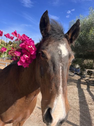 1ed1fa02-5309-432a-8165-13fcbbf26e10