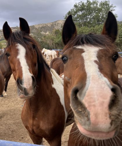 3a9f3979-3dae-4e88-a6ad-904fb972c925