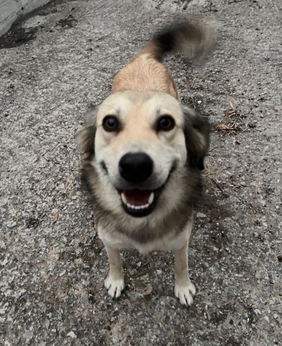 4813373b-b336-43a5-907a-7fa4775fdd7a