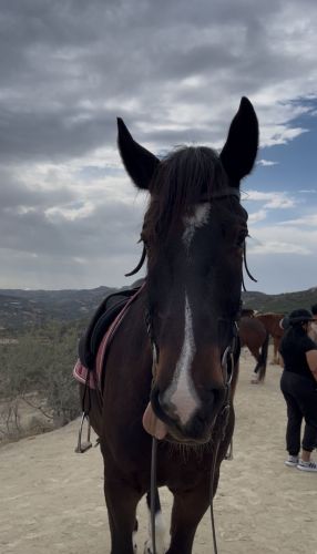 d6ee15be-2a17-4a93-9f03-631c34e466fc