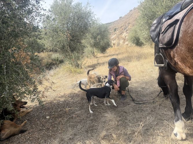 f1b37314-11f3-43d1-a6f0-745f7dfb259d